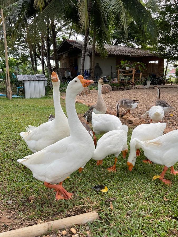 Suanglangna Phrae Exterior foto